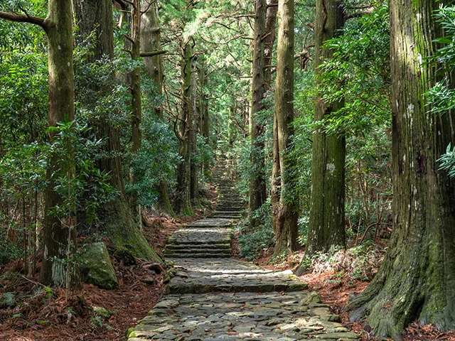 熊野古道
