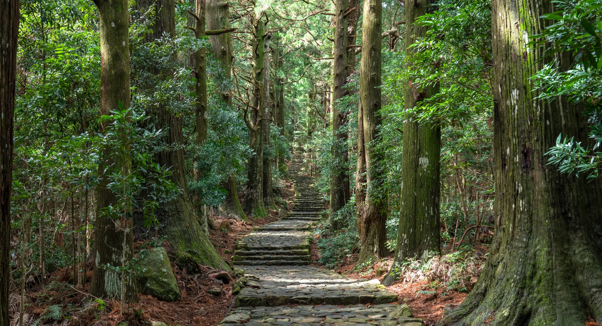 熊野古道