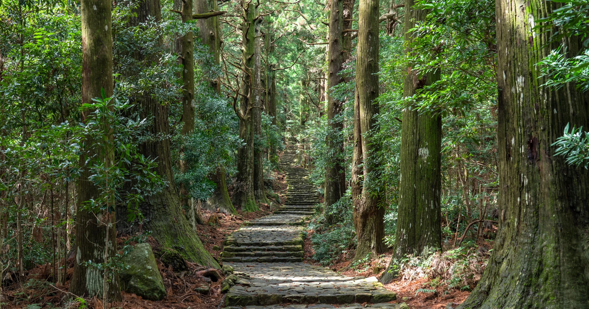 熊野古道